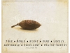 Simple Acorn
