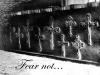 Crosses