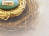 Hope is a Soft Nest