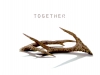 Together (Staghorns)